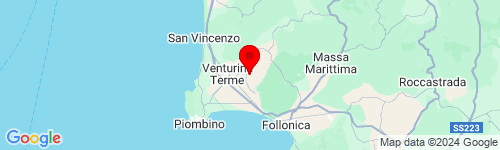 Google Map of Livorno Provincia di Livorno